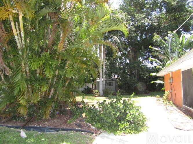 A lush green garden with a palm tree and a building in the background.
