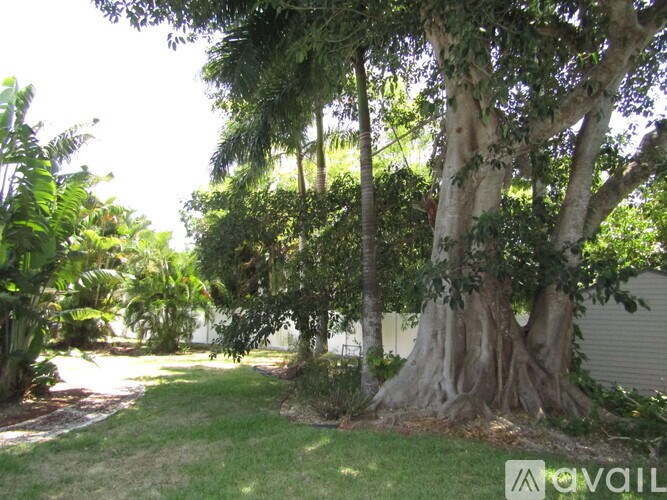 A tree with a thick trunk and a wide base is in the foreground of a sunny garden.