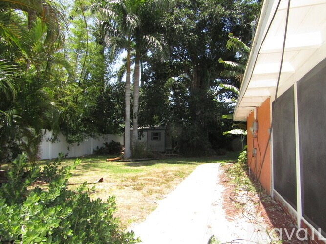 A backyard with a white fence and a tree.