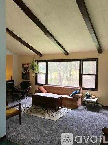 A living room with a couch, a chair, and a rug.