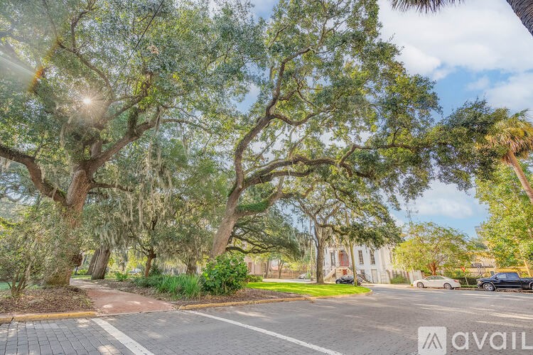 A tree-lined street with a building in the background.