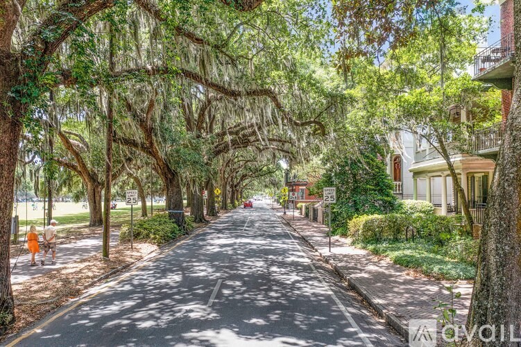 A tree-lined street with a person walking on the sidewalk.
