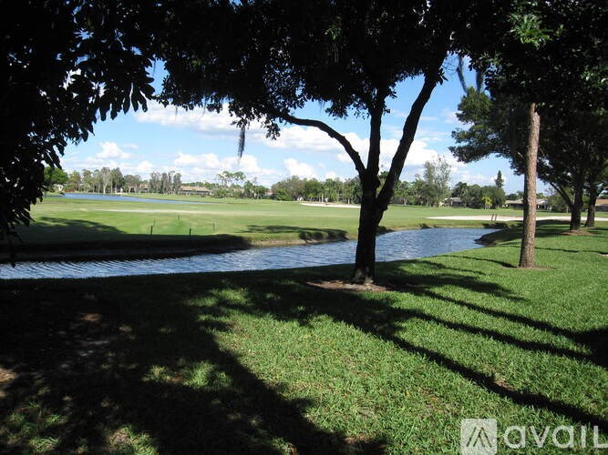 A tree casts a shadow on a grassy area next to a body of water.