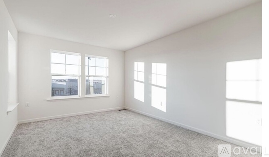 A spacious room with carpeted floor and three windows.
