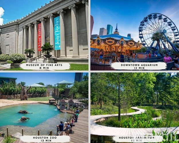 A collage of four images showcasing the Museum of Fine Arts, Downtown Aquarium, Houston Zoo, and Houston Arboretum.