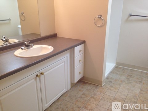 A bathroom with a sink, mirror, and cabinets.