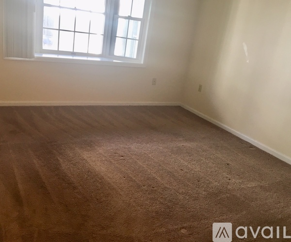 A room with a brown carpet and a window.