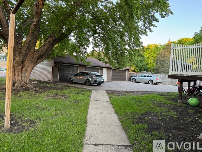 A tree in a yard with a car parked in the driveway.
