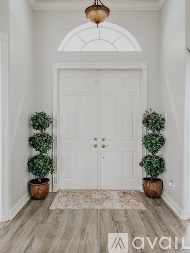 A white door with a plant on each side and a rug on the floor.