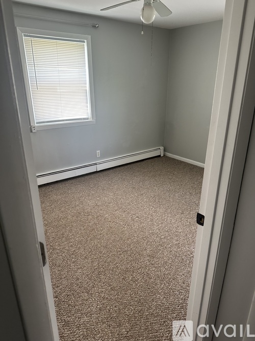 A room with a carpeted floor and a ceiling fan.