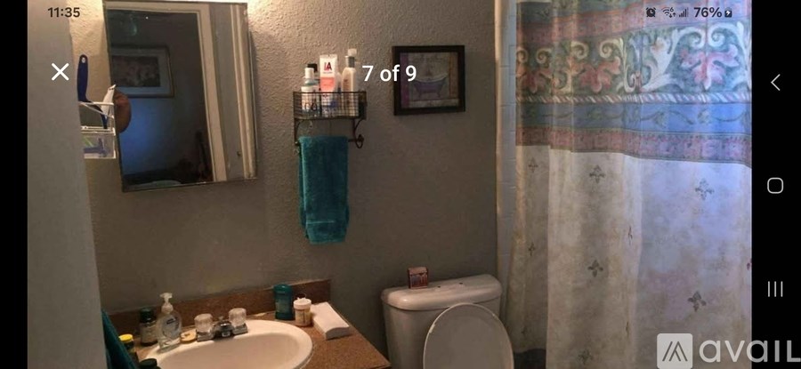 A bathroom with a toilet, sink, and shower curtain.