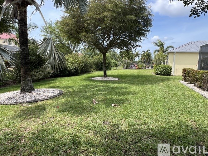 A tree in a grassy area with a house in the background.