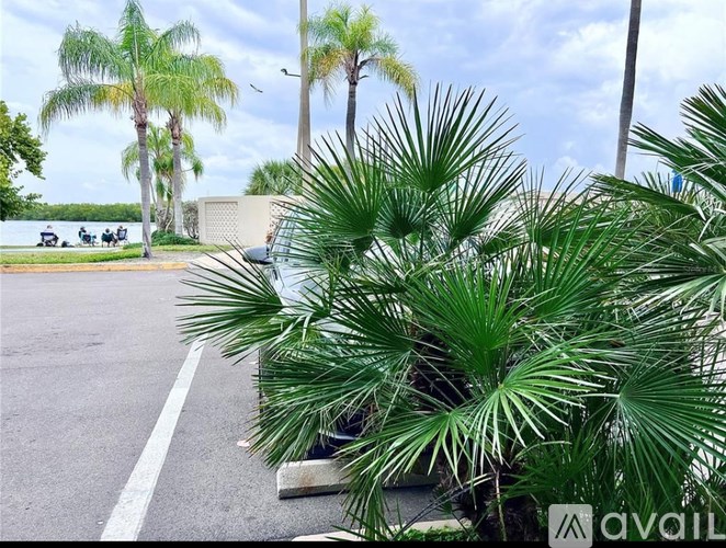 A palm tree is in the foreground of a parking lot.