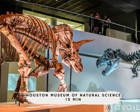 A dinosaur skeleton is on display at the Houston Museum of Natural Science.