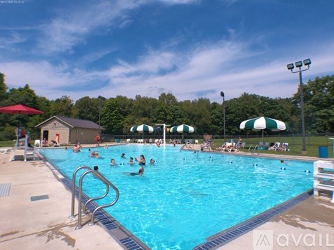 A group of people are swimming in a blue pool.