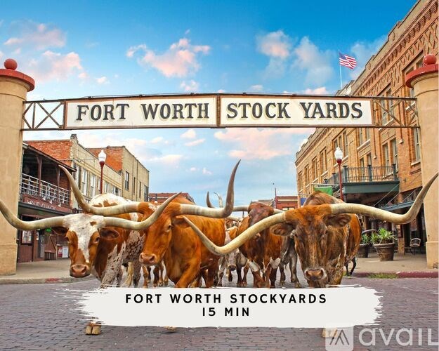 A sign that says Fort Worth Stock Yards in front of some long horn cattle.