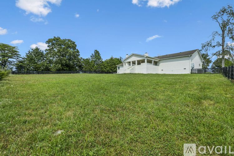 A bedroom with a bunk bed and a single bed.
