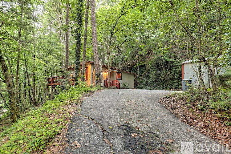 A pathway leads to a small building surrounded by trees.