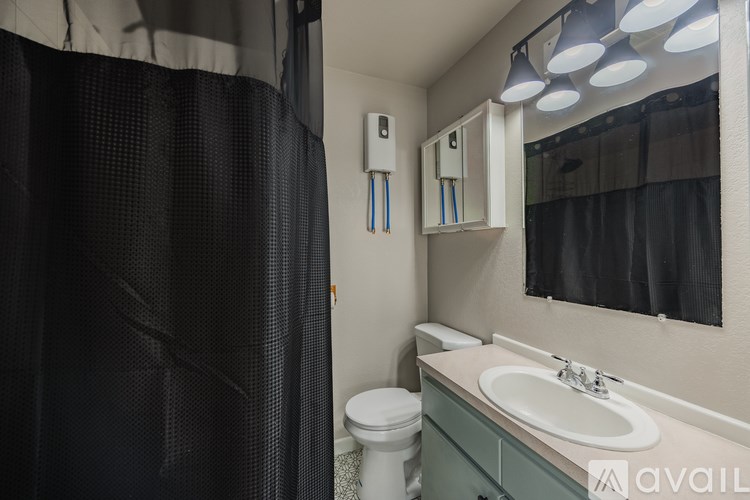 A bathroom with a toilet, sink, and shower curtain.