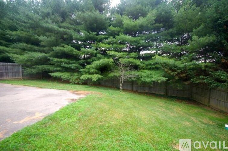 A backyard with a wooden fence and a green lawn.