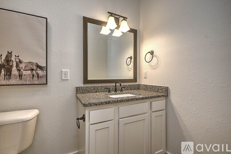 A bathroom with a granite countertop and a framed black and white photo of horses on the wall.