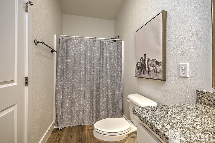 A bathroom with a toilet, sink, and shower curtain.
