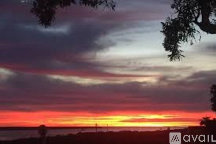 A beautiful sunset with a vibrant orange sky and silhouettes of trees.