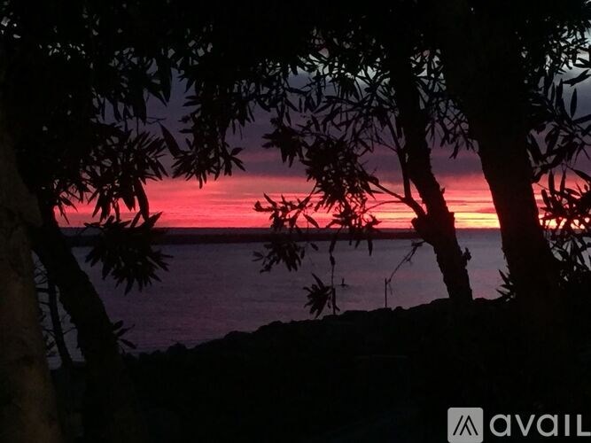 A beautiful sunset view with trees in the foreground.