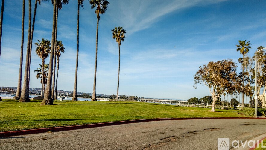 Palm trees line a street in a sunny, clear day.