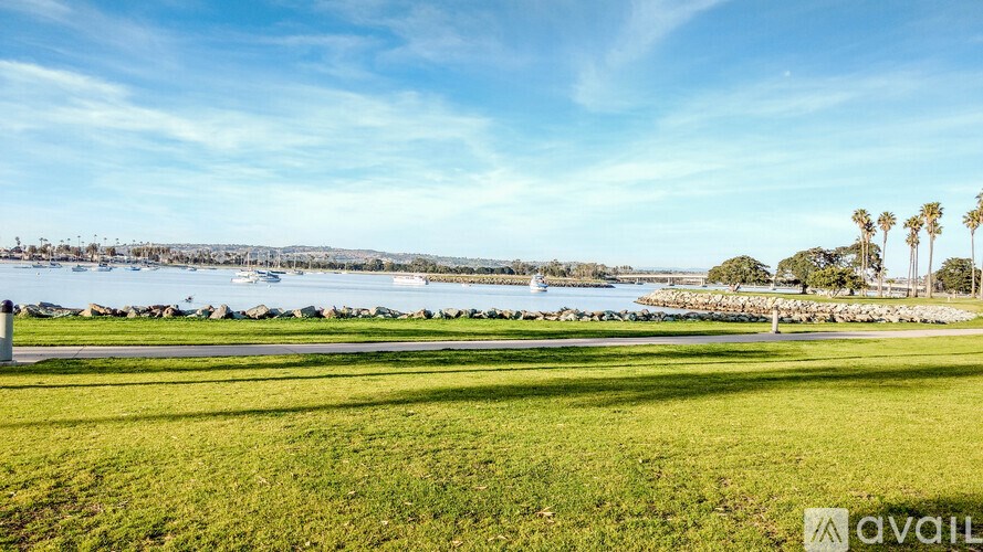 A grassy field with a body of water and palm trees in the distance.
