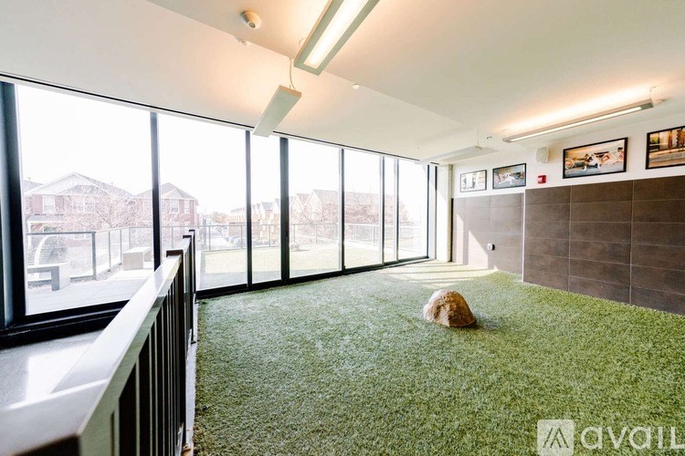 A room with a green carpet and a rock on it.