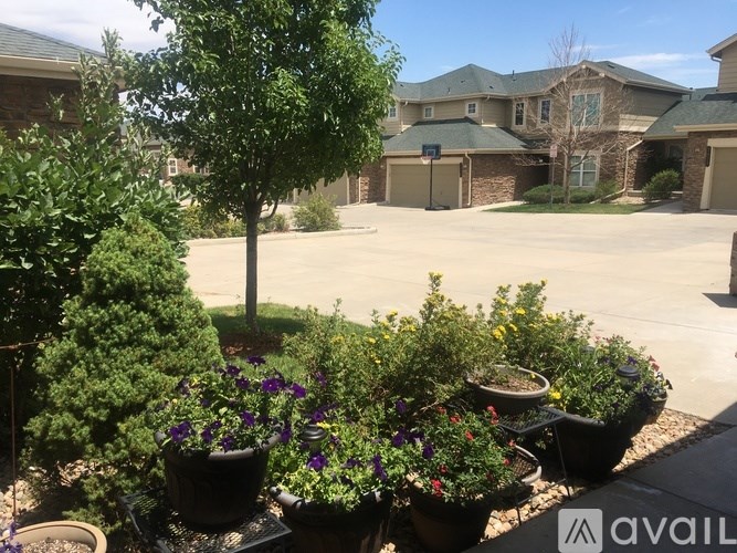 A front yard with a tree and a flower bed.