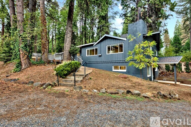 A house with a blue exterior is surrounded by trees.