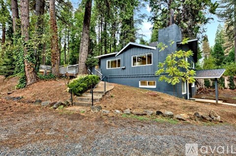 A house with a blue exterior is surrounded by trees.