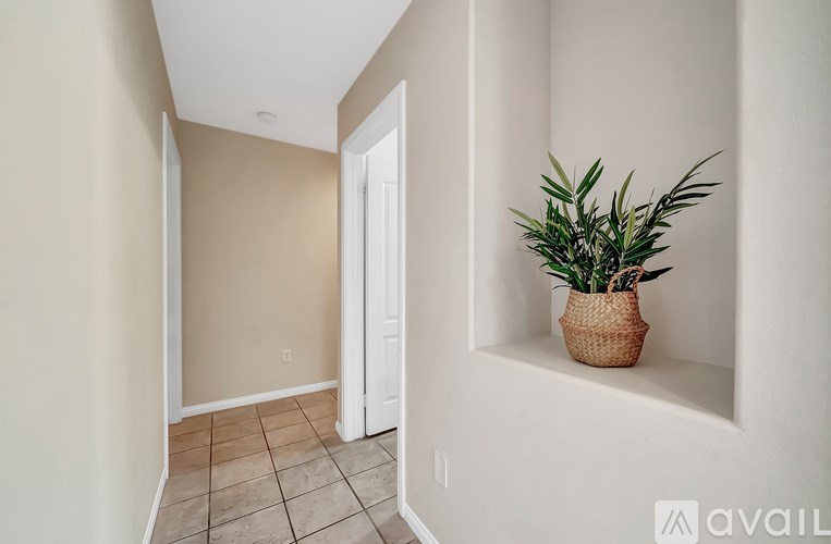 A room with a plant on a shelf.