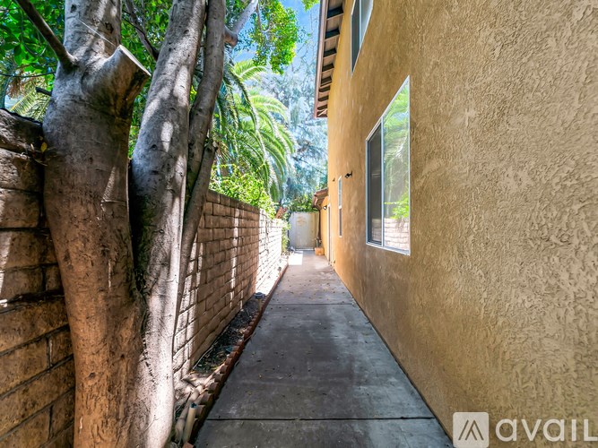 A narrow alley with trees on the left and a beige wall on the right.