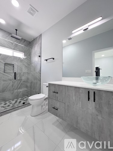 A modern bathroom with a walk-in shower and a toilet.