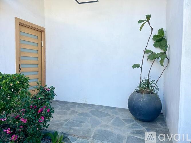 A plant in a blue pot sits on a stone floor next to a door.