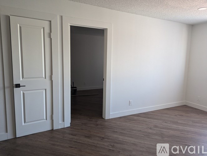 A room with a white door and a grey door.