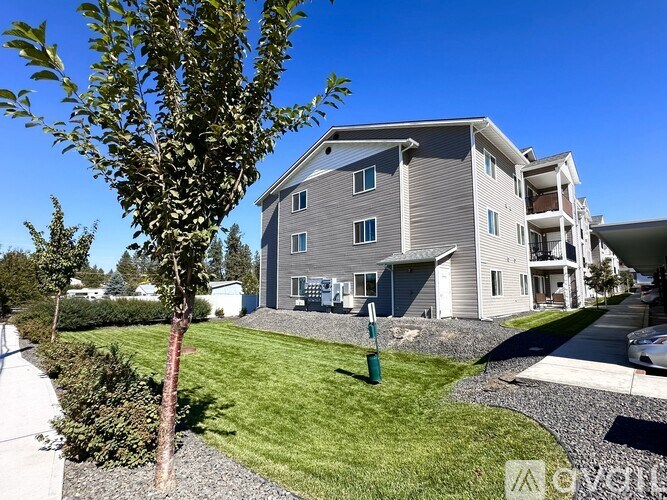 A row of townhouses with balconies and trees in front.