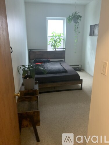 A bedroom with a bed, a plant, and a window.