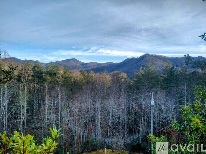 A landscape image of a forest with mountains in the background.
