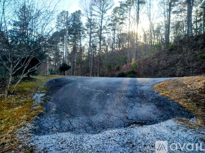 A road with a puddle of water on it surrounded by trees.