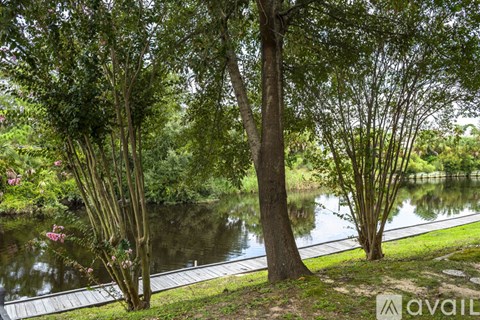 A serene park with a pond, trees, and a wooden walkway.