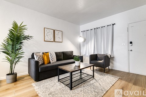 A living room with a black couch, a coffee table, and a potted plant.