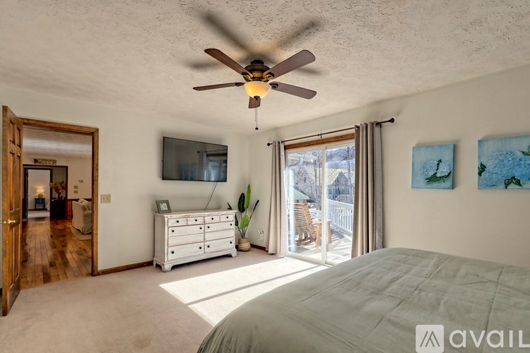 A bedroom with a large bed, a ceiling fan, and a television.