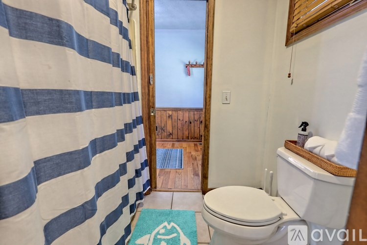 A bathroom with a toilet, a shower curtain, and a wooden door.