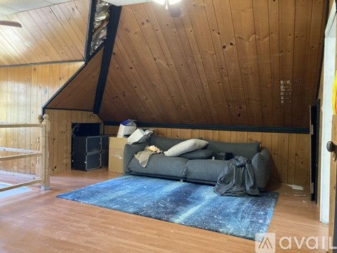 A living room with a grey couch and a blue rug.