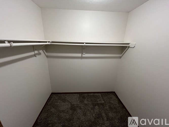 Empty white closet with carpeted floor.