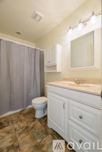 A bathroom with a toilet, sink, and shower curtain.
